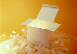 【完全保存版】martinギターの選び方とおすすめモデル徹底ガイド